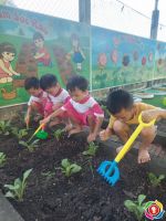 HOẠT ĐỘNG NGOÀI TRỜI 2023 2024